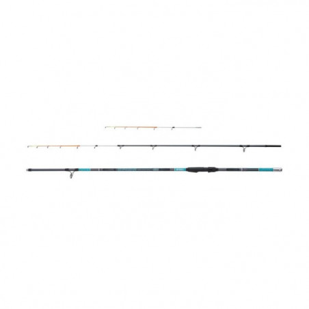 Canne spinning Mitchell Suprema 2.0 Bolentino Tele