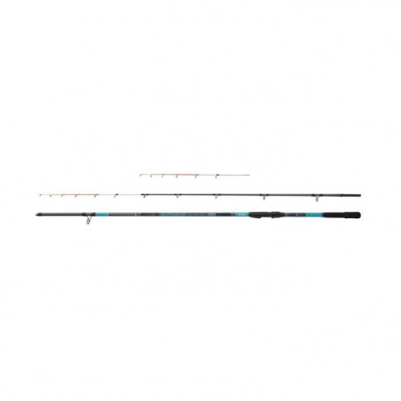 Canne Spinning Mitchell Suprema SW Bolentino