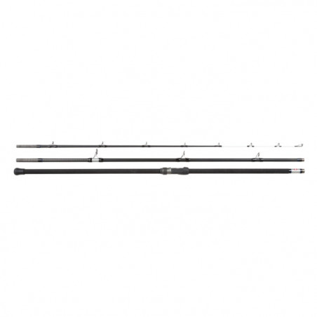 Canne spinning Penn MAG4 Beach Caster