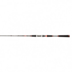 Canne spinning Penn Overseas XT Inshore