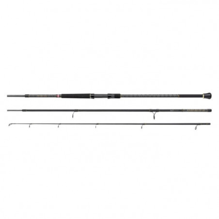 Canne spinning Penn Regiment III Bass Lure
