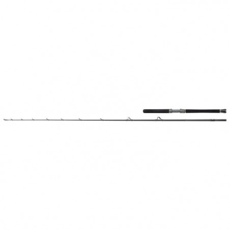 Canne spinning Penn Regiment III Halibuster