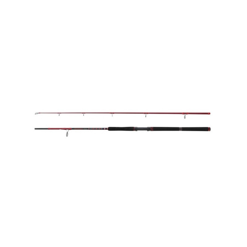 Canne Spinning Penn Squadron III Allround