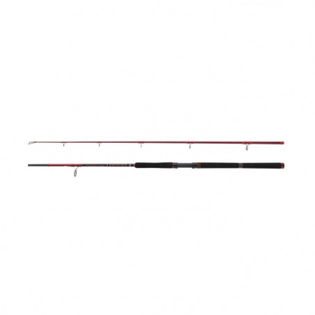Canne Spinning Penn Squadron III Allround
