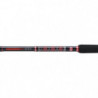 Canne Spinning Penn Squadron III Boat Braid