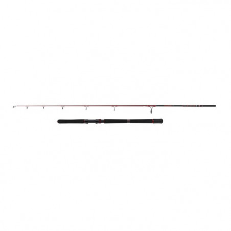 Canne Spinning Penn Squadron III Jig
