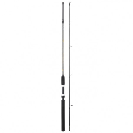 Canne spinning Sert Fish Instinct Fw20 Spincast