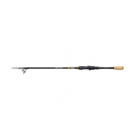 Canne Spinning télescopique Mitchell Epic MX2