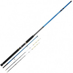 Canne Sunset Dorada TSW20 31