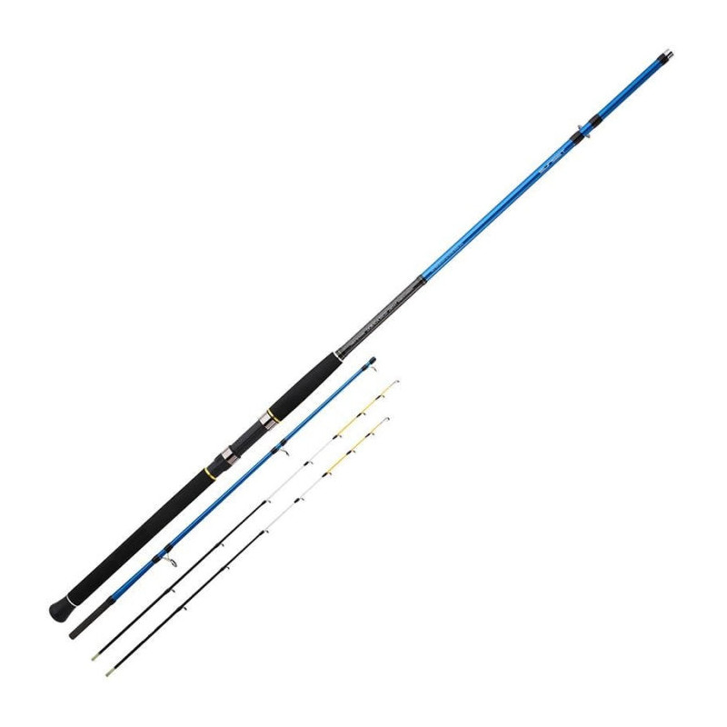 Canne Sunset Dorada TSW20 31
