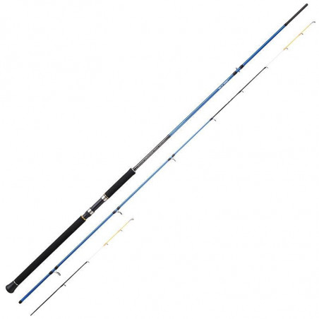 Canne Sunset Dorada TSW20 31 Light