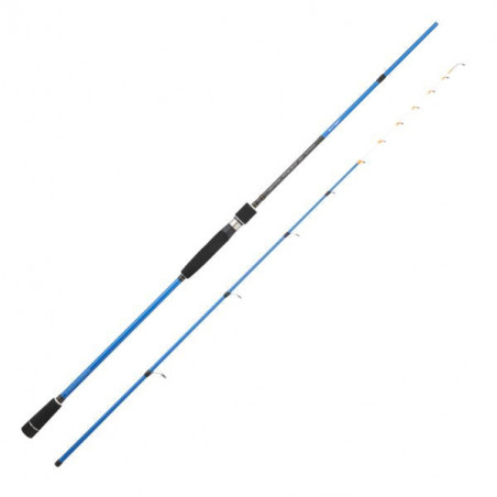 Canne Sunset Tataki SW20