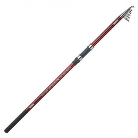 Canne télescopique Sert Exceed Telepike
