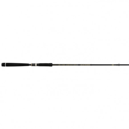 Canne The Artist X5 Illex S 2152 MH Black Shadow