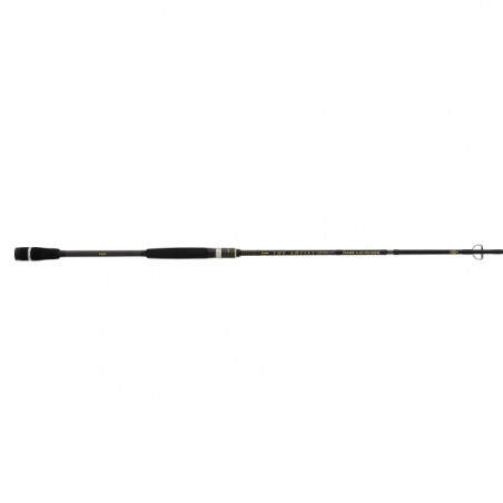Canne The Artist X5 Illex S 230 MH-H Dark Launcher