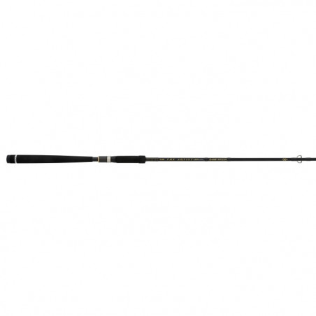Canne The Artist X5 Illex S 2402 H Dark Witch