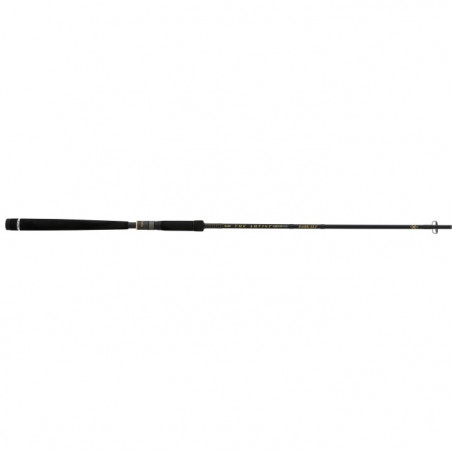 Canne The Artist X5 Illex S 2402 MH Dark Elf