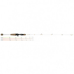 Canne Vertigone Intuitive C