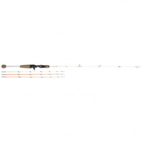 Canne Vertigone Intuitive C