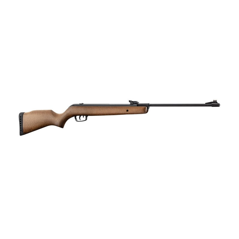 Carabine à plomb Gamo BIG CAT Hunter - Cal. 4.5 mm - 19.9 Joules