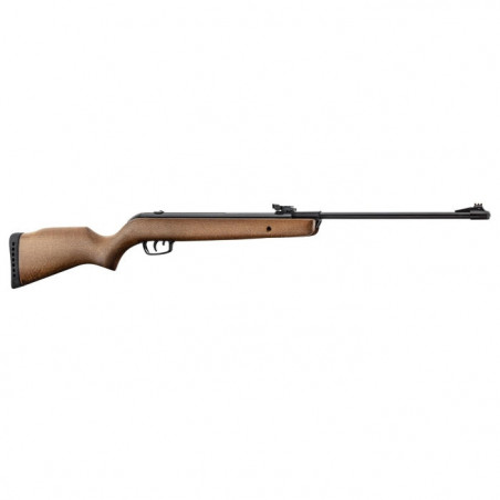 Carabine à plomb Gamo BIG CAT Hunter - Cal. 4.5 mm - 19.9 Joules
