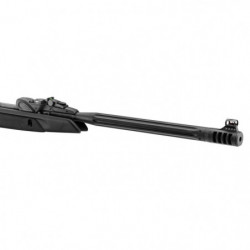 Carabine Gamo SPEEDSTER 10X IGT GEN2 lunette 4x32 WR