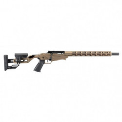 Carabine Ruger Precision...