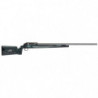 Carabine Victrix Target T Series