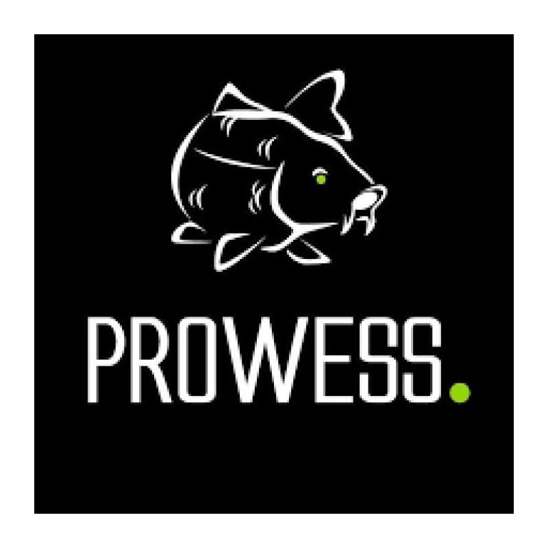 Casquette Prowess Flat Visor - Brodée