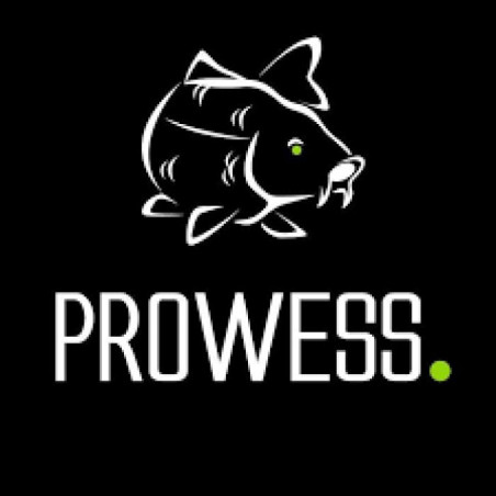 Casquette Prowess Flat Visor - Brodée