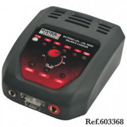 Chargeur de batterie Swiss...