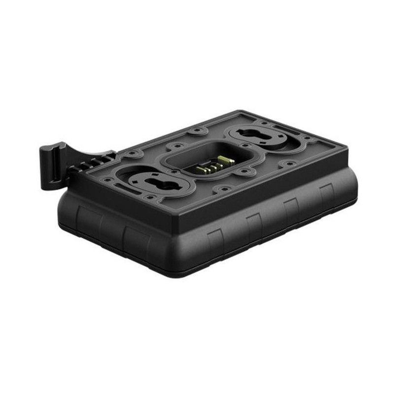 Chargeur de batterie Pulsar Ips