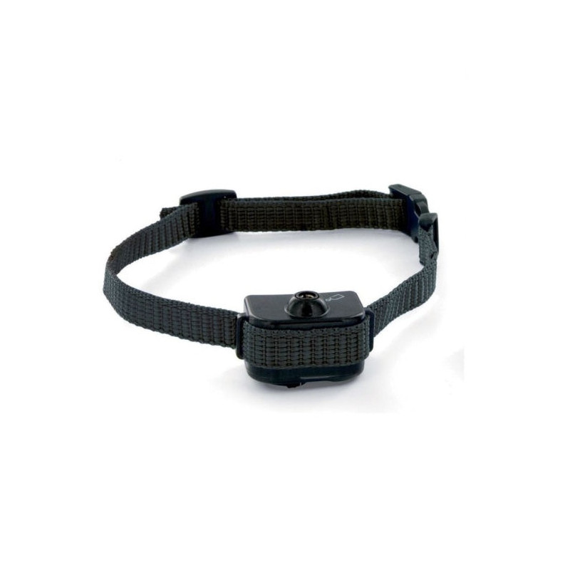 Collier anti-aboiement spray petit et moyen chien PetSafe à piles