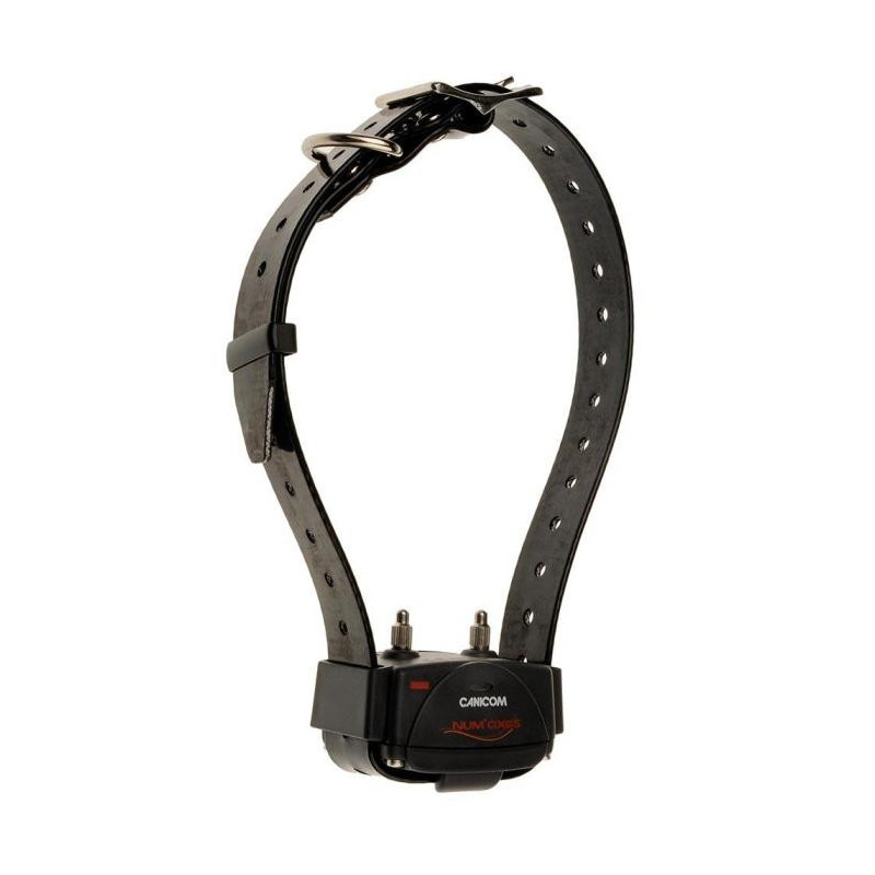 Collier d'éducation Num'Axes Canicom - Collier seul