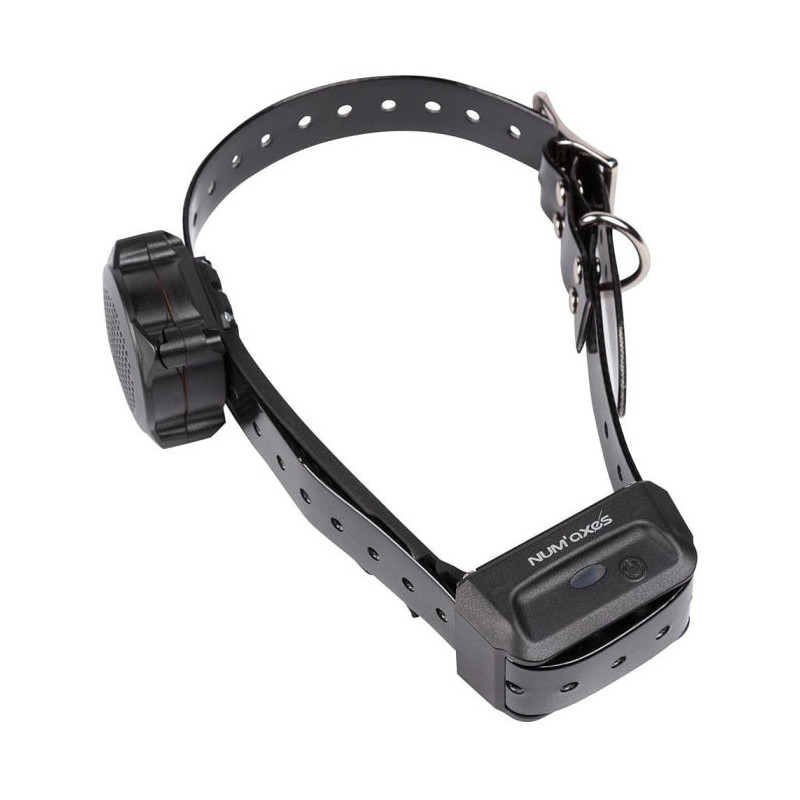 Collier d'éducation Num'Axes Canicom Voice seul