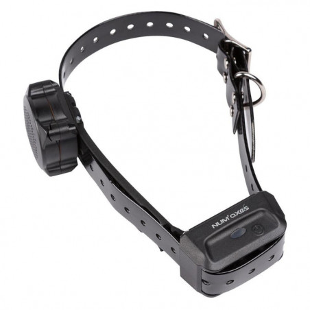 Collier d'éducation Num'Axes Canicom Voice seul
