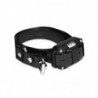 Collier de dressage DC Petcomet 800