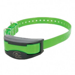Collier de dressage...