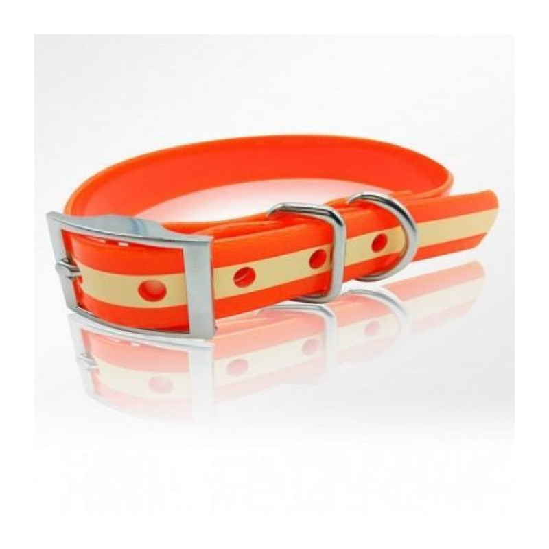 Collier pour chien phosphorescent Stepland - 45 ou 60cm