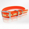 Collier pour chien phosphorescent Stepland - 45 ou 60cm