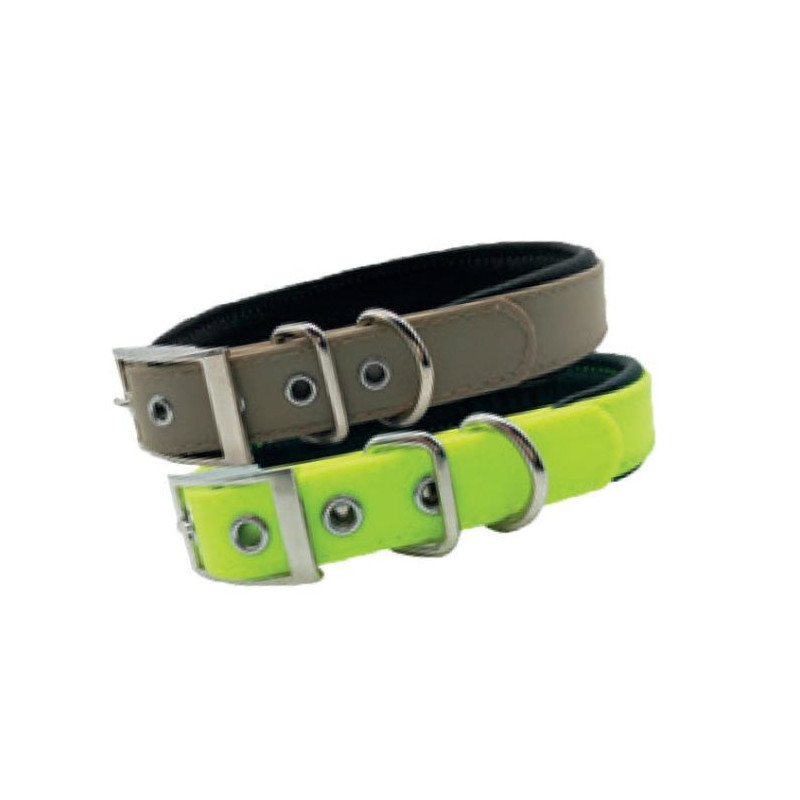 Collier pour chien renforcé Stepland - 2 Tailles