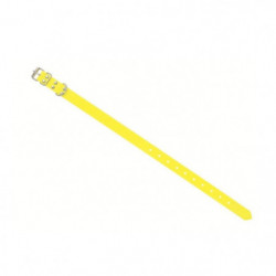 Collier pvc Fuzyon 2...
