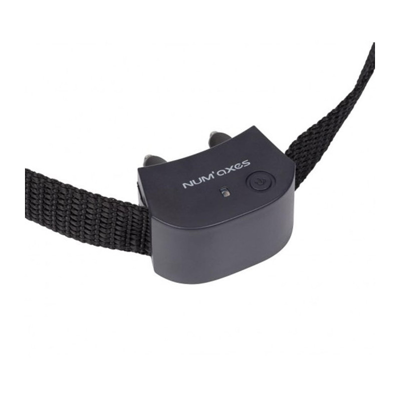 Collier supplémentaire Num'Axes pour Canifugue Small