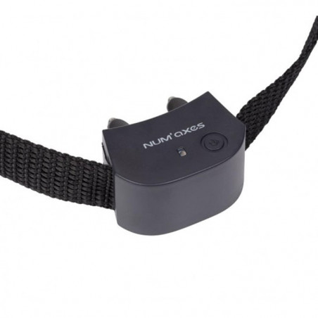 Collier supplémentaire Num'Axes pour Canifugue Small