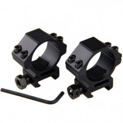 Colliers ChasseTir.com 30...