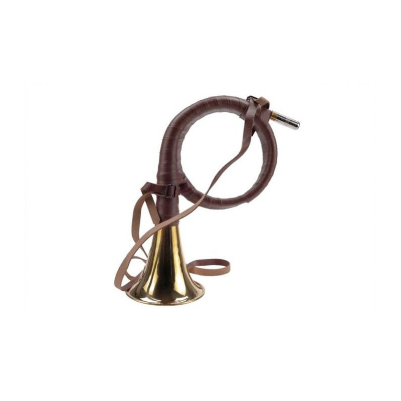 Cor Januel genre allemand avec embouchure corne gainée