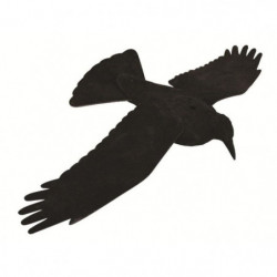 Corbeau ailes ouvertes...