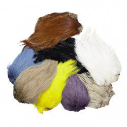 Cou de coq MDC Top Grade