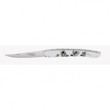 Couteau Robert David Le Thiers Manche Acrylique - Lame 90mm