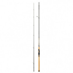 Canne Daiwa Shogun